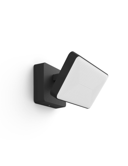Foco reflector LED Negro Discover uso exterior 30W 8718696170533 Philips Hue| LeonLeds