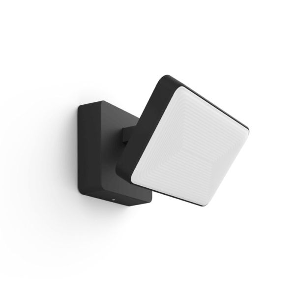 Foco reflector LED Negro Discover uso exterior 30W 8718696170533 Philips Hue| LeonLeds