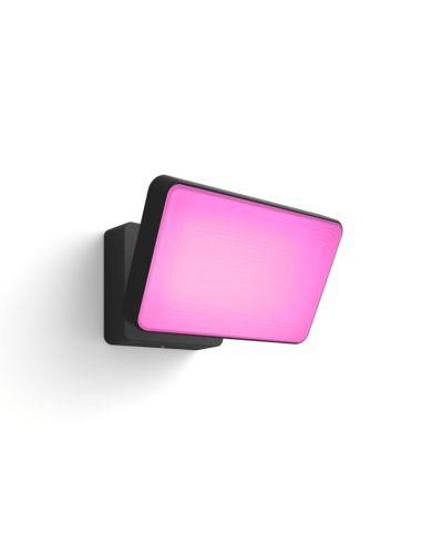 Foco reflector LED Negro Discover uso exterior 30W 8718696170533 Philips Hue| LeonLeds