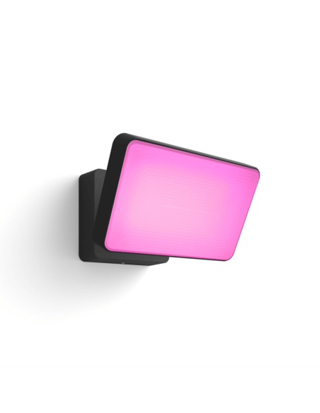 Foco reflector LED Negro Discover uso exterior 30W 8718696170533 Philips Hue| LeonLeds