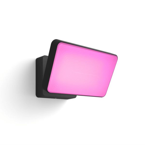 Foco reflector LED Negro Discover uso exterior 30W 8718696170533 Philips Hue| LeonLeds