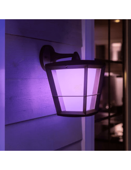 Aplique de pared LED para exterior Negro Econic 15W luz rosa