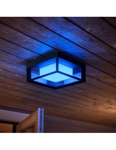 Aplique pared LED exterior inteligente Econic cuadrado 15W luz azul