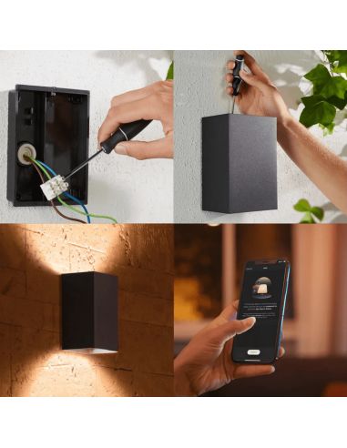 Aplique pared LED exterior Resonate negro 8W Philips Hue contenido producto