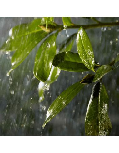 Cabo de extensão ao ar livre 5 m IP67 Hue Acessórios ao ar livre