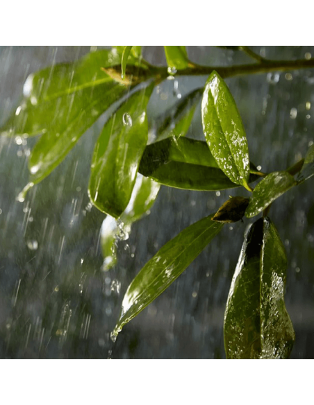 Rallonge extérieure 5 m IP67 Hue Accessoires extérieurs