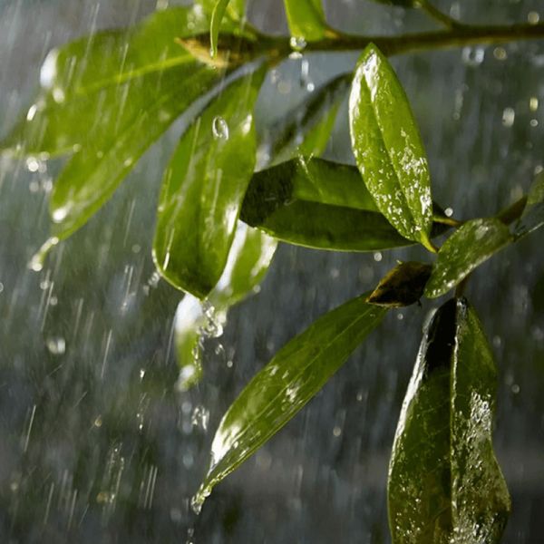 Rallonge extérieure 5 m IP67 Hue Accessoires extérieurs