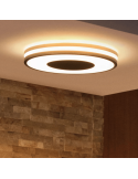 Plafón techo LED inteligente Being negro 22,5W en un techo