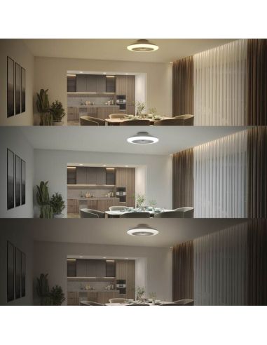 Plafón Ventilador LED de techo Amigo, blanco DC - 20W - Luz regulable 2700K A 6500K 4000Lm Philips | LeonLeds