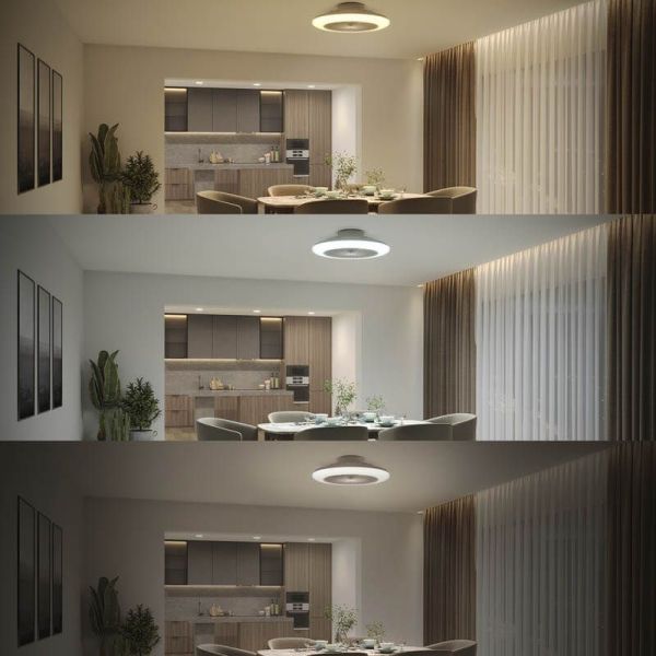 Plafón Ventilador LED de techo Amigo, blanco DC - 20W - Luz regulable 2700K A 6500K 4000Lm Philips | LeonLeds