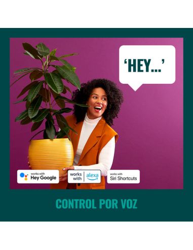 Guirlande intelligente d'extérieur String en couleur, avec commande vocale et Wifi, IP44