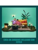 Focos de Suelo Exterior Inteligente con picas de tierra, Spotlight a todo color, Wifi, IP65, 12V - Kit de 2 focos y Extensión am