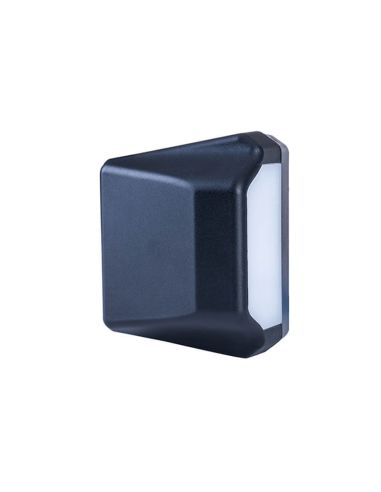 Piloto de matricula LED Neon Homologada 12/24V LTD 2833 L R1 Horpol | LeonLeds