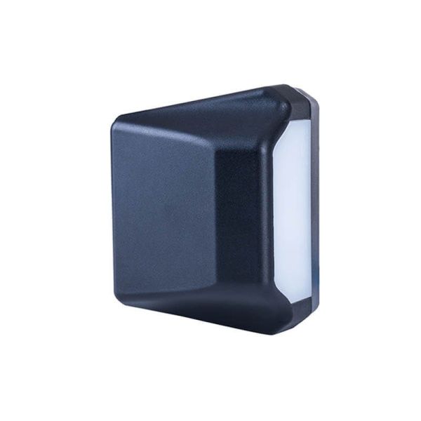 Piloto de matricula LED Neon Homologada 12/24V LTD 2833 L R1 Horpol | LeonLeds