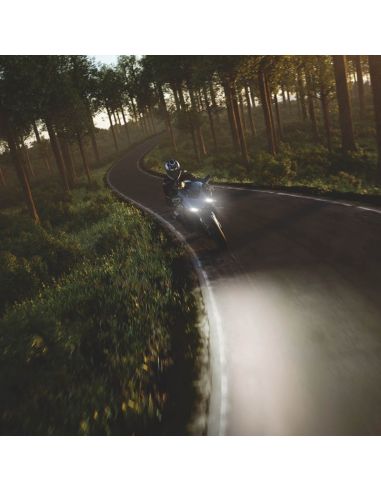 Lâmpada sem tampa Âmbar Halógena Diadema Cromado WY5W 12V (Próxima Geração) 2 Unds. Osram | leonleds