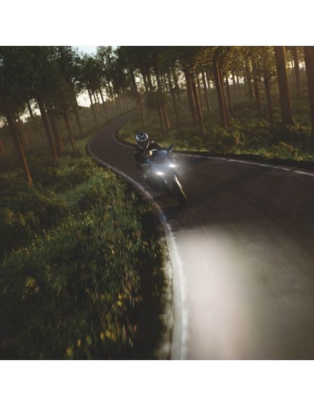 Lâmpada sem tampa Âmbar Halógena Diadema Cromado WY5W 12V (Próxima Geração) 2 Unds. Osram | leonleds