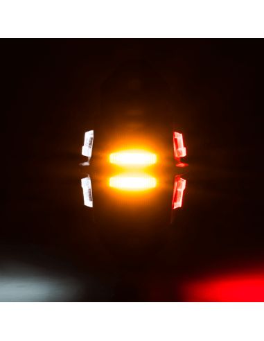 Déstockage LED court Flexible Dragon 3 Lumières 12V 24V SM1 AM RM1 Horpol | leonleds