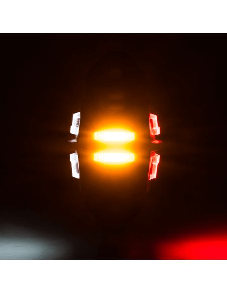 Déstockage LED court Flexible Dragon 3 Lumières 12V 24V SM1 AM RM1 Horpol | leonleds