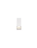 Aplique LED retangular Roya em várias cores IP44