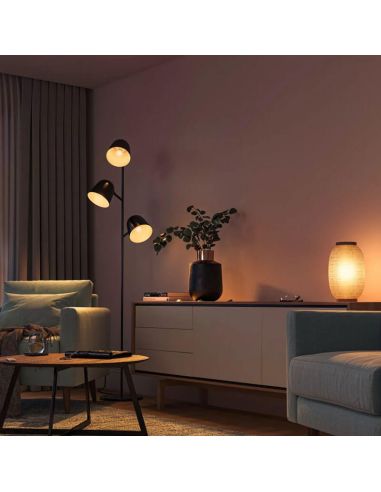 Ampoule sphérique intelligente Philips Hue WA Lustre diverses combinaisons
