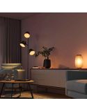 Pack 2 Bombilla esférica inteligente Philips Hue WA Luster varias combinaciones