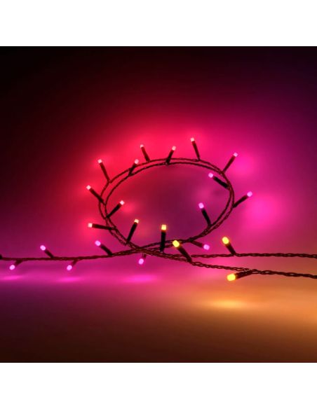 Guirnalda de luces 20 metros Philips Hue Festavia string lights 250 luces LED IP44/IP54 14W 8720169246621 Philips | LeonLeds