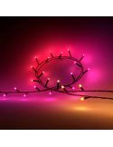 Guirnalda de luces 20 metros Philips Hue Festavia string lights 500 luces LED IP44/IP54 14W 8720169246867