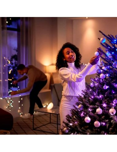 Guirnalda de luces 20 metros Philips Hue Festavia string lights 500 luces LED IP44/IP54 14W 8720169246867