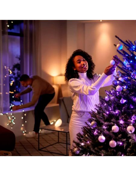 Guirnalda de luces 20 metros Philips Hue Festavia string lights 500 luces LED IP44/IP54 14W 8720169246867
