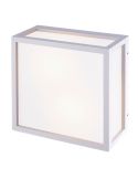 Plafón exterior 2 Luces UTAH 2 Luces ip65, Gris blanco IP65