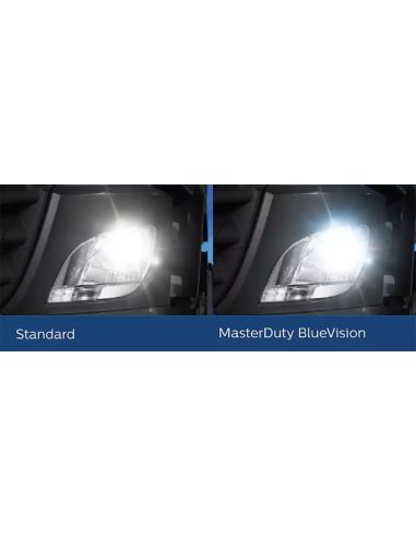 Lâmpadas H7 24V Luz Branca Master Duty 70W 13972MDBVS2 Philips | LeonLeds