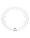 Tubo LED Circular T9 21CM 11W Reemplazo 22W G10q LEDTUBE Ledvance | LeonLeds