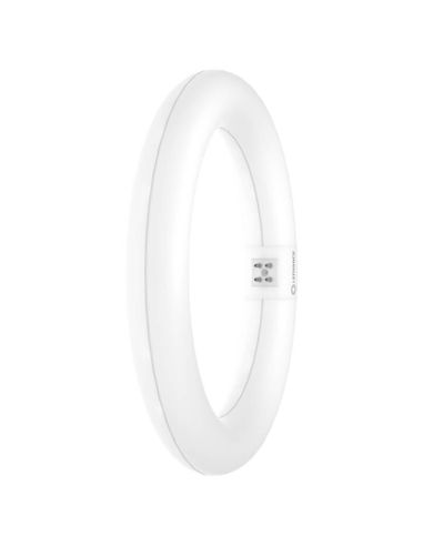 Tubo LED Circular T9 30CM 18,3W Reemplazo 32W G10q LEDTUBE Ledvance | LeonLeds