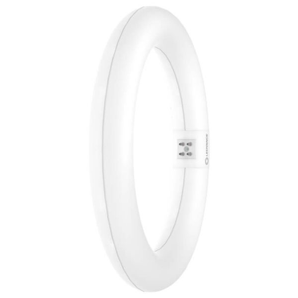 Tubo LED Circular T9 30CM 18,3W Reemplazo 32W G10q LEDTUBE Ledvance | LeonLeds