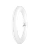 Tubo LED Circular T9 40CM 24W Reemplazo 40W G10q LEDTUBE Ledvance | LeonLeds