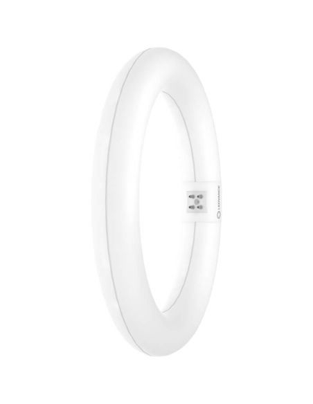 Tube LED Circulaire T9 40CM 24W Remplace 40W G10q LEDTUBE Ledvance | LéonLeds