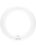 Tubo LED Circular T9 40CM 24W Substitui 40W G10q LEDTUBE Ledvance | LeonLeds