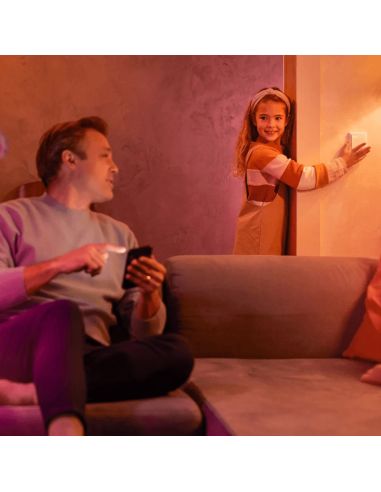 Pack 2 módulos interruptores de parede Hue photo ambient | leonleds