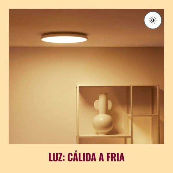 Plafón de techo inteligente Rune 21 W blanco/negro WiZ