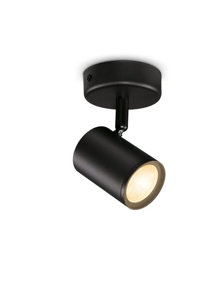 Spot orientable Imageo noir 21W 2700K - 6500K Wifi, Contrôle via application ou voix