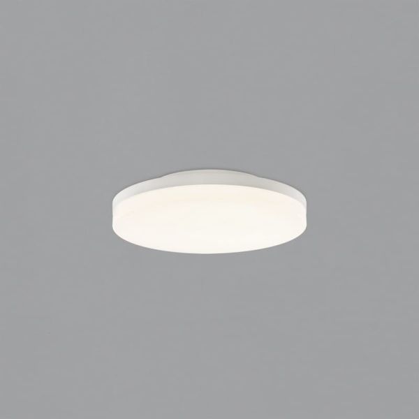 Plafonnier LED ANGUS 34W/55W 3290lm, interrupteur à glissière 2700K-3000K blanc texturé/opale