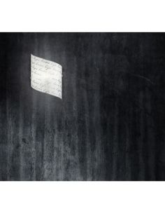 Aplique de pared SIGNA vidrio color blanco | LeonLeds 2