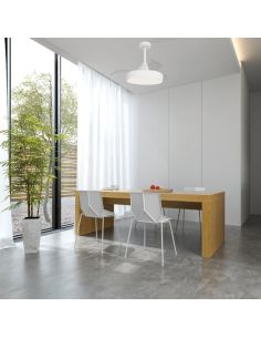 Ventilador de teto ALASKA LED 60W branco 2700K-5000K 3300 Lm 2