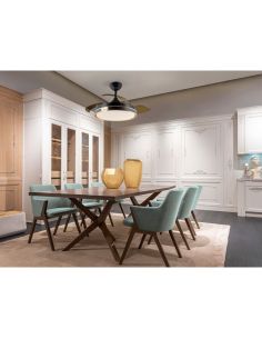 HERON Lampe LED ventilateur de plafond dimmable fonction inverse Noir mat | LéonLeds 2