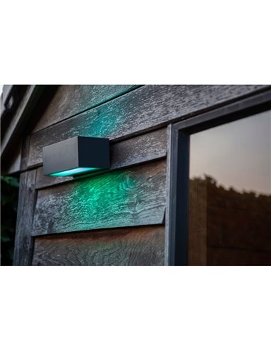 Aplique LED inteligente GEMINI 2700K-6500K+RGB 17W antracita LUZ arriba y abajo