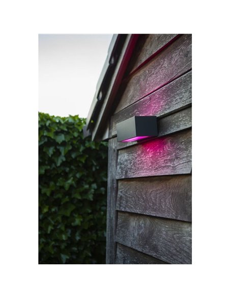 Applique murale LED intelligente GEMINI 2700K-6500K+RGB 17W anthracite LUMIÈRE haut et bas