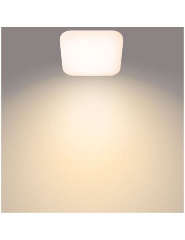 Plafón cuadrado LED para techo MAUVE Ø26cm | LeonLeds