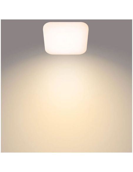 Plafón cuadrado LED para techo MAUVE Ø26cm | LeonLeds