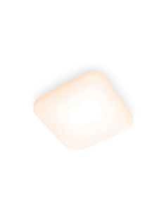 Plafón cuadrado LED para techo MAUVE Ø26cm | LeonLeds