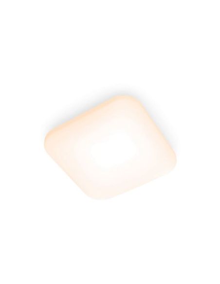 Plafón cuadrado LED para techo MAUVE Ø26cm | LeonLeds